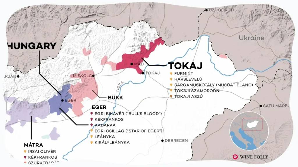 Hungary-Wine-Map-Tokaj-Wine-Folly__1___1_ 헝가리 토카이 와인 지도