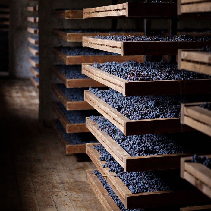 amarone ripasso italy wine