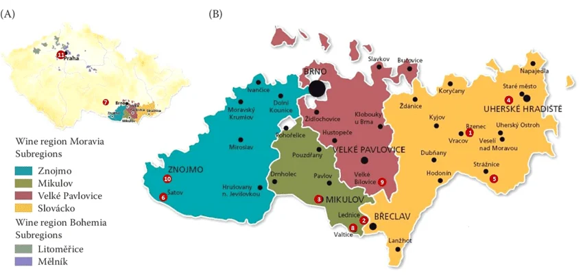 체코 모라비아 와인 산지 지도 Czech Moravia Wine Regions Map
