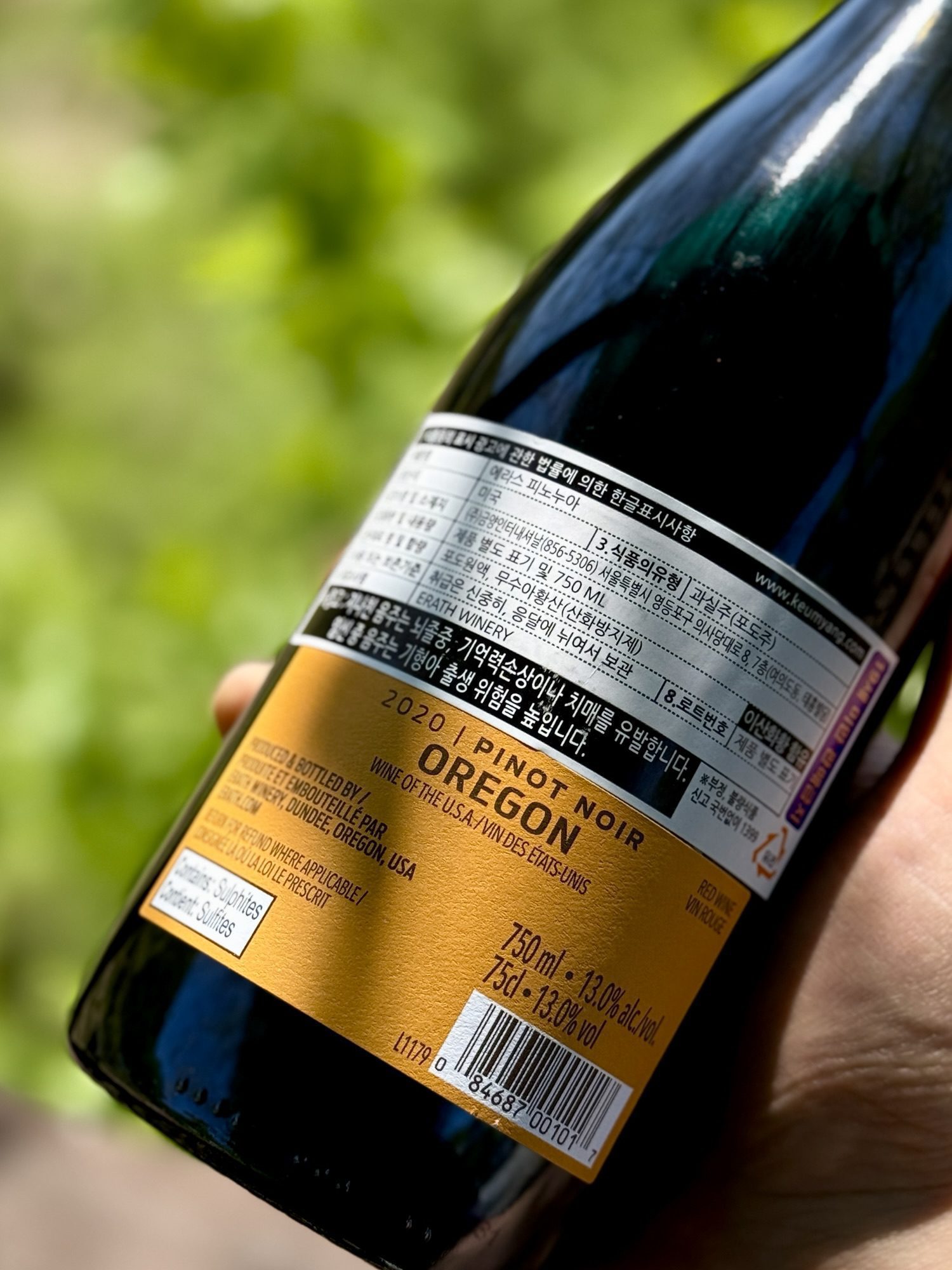 erath-oregon-pinot-noir-에라스오리건피노누아-2020-back