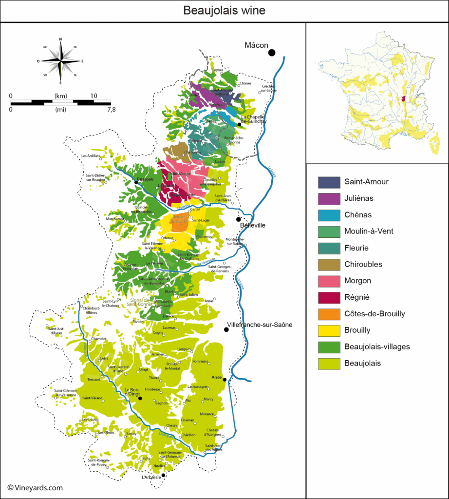 Beaujolais Wine Map 보졸레 와인 지도