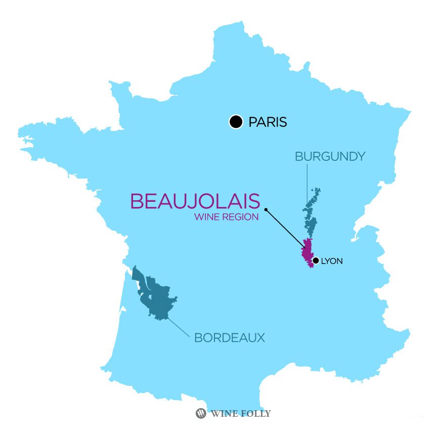 Beaujolais France Wine Region 보졸레 프랑스 와인 산지
