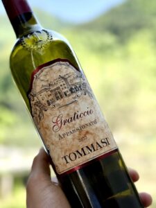 tommasi-graticcio-appassionato-토마시그라티시오아파시오나토-2022-front