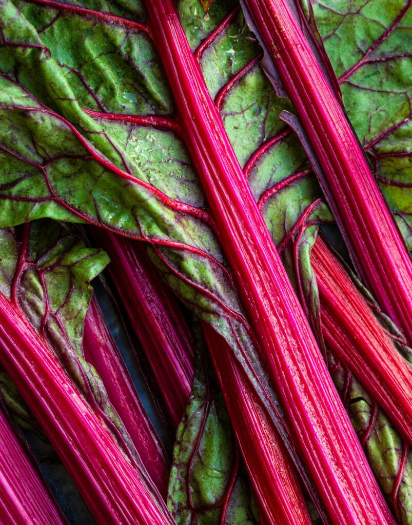 rhubarb1-scaled 루바브 사진 1